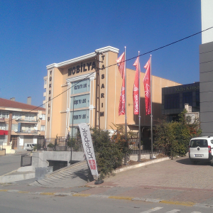 Konsollu Bayrak Direği
